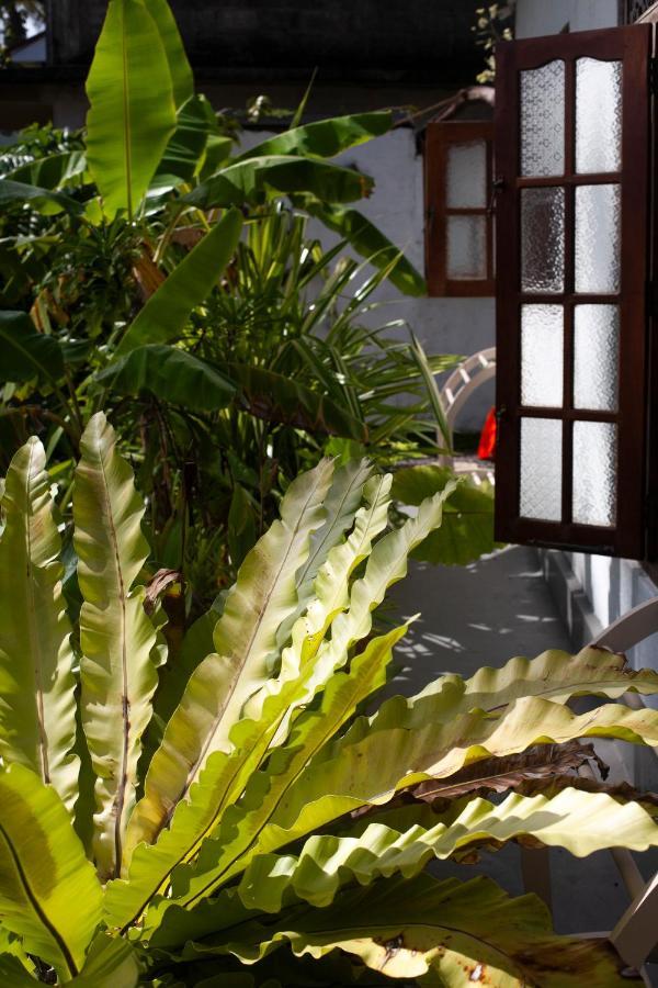 Marshmallow Homestay Ahangama Exterior photo