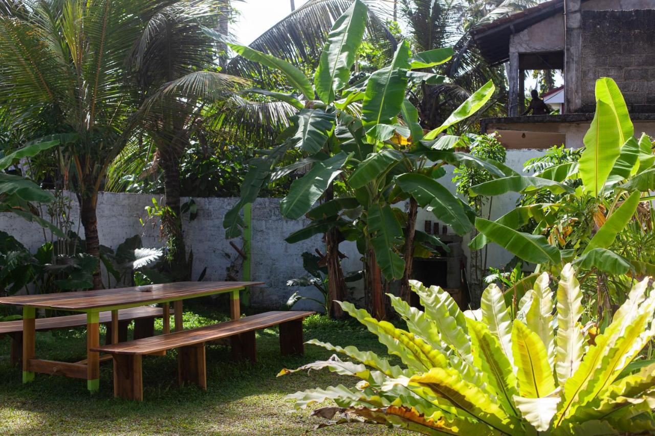 Marshmallow Homestay Ahangama Exterior photo